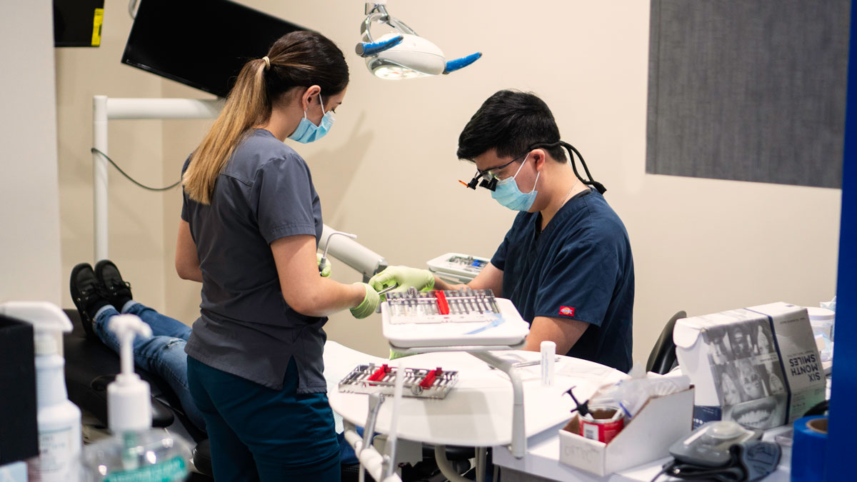 Walk in Dentist Near Me Dentist Near Me Open Now Nearest Dentist